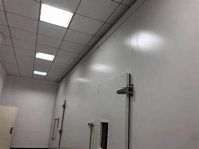 全新视频社交平台推荐：探索快猫与抖阴的玩法与魅力