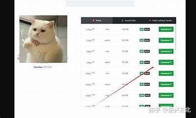 抖音视频如何下载保存的详细教程与技巧